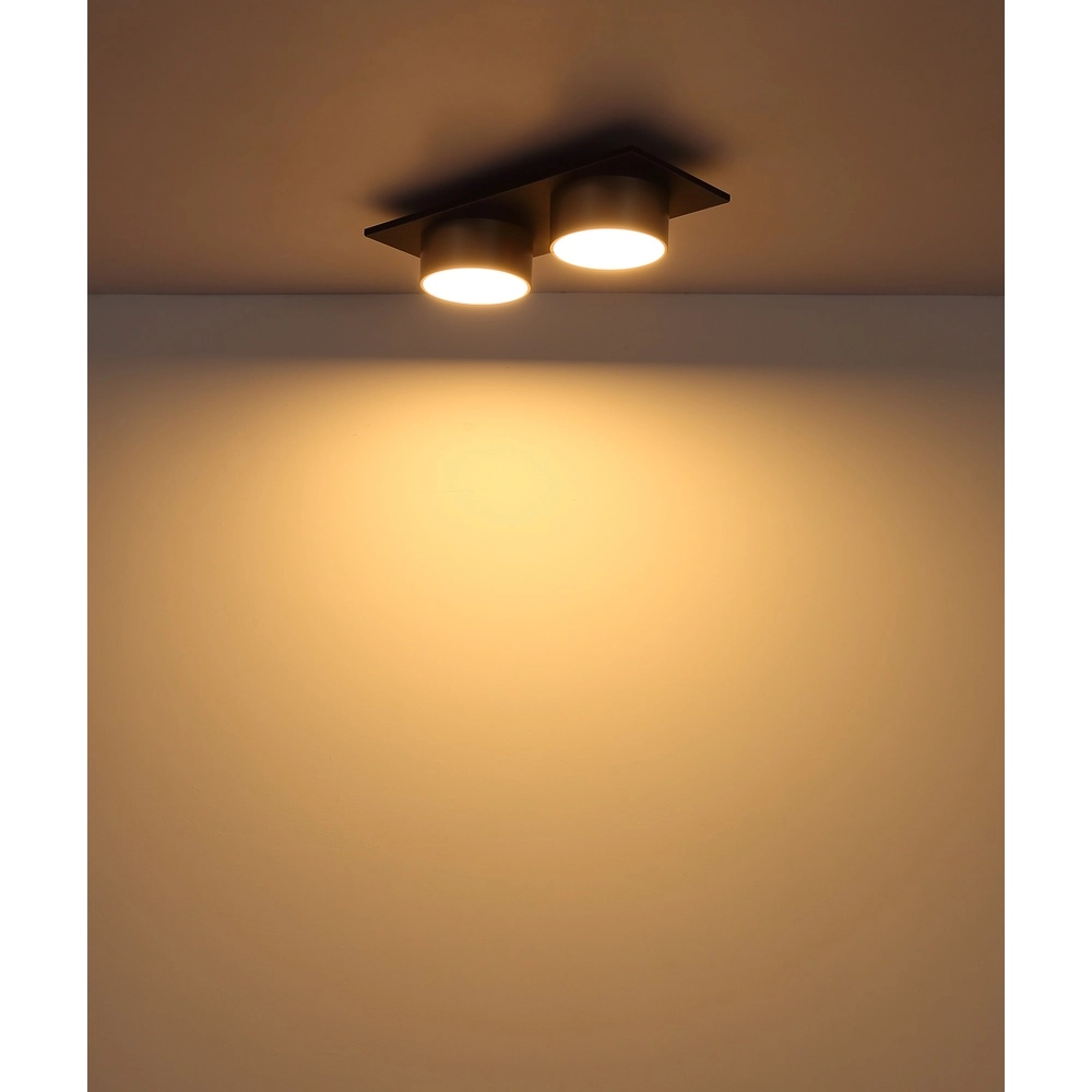 2-Licht Deckenlampe Raymond schwarz mit Champagner Globo 9007371522873