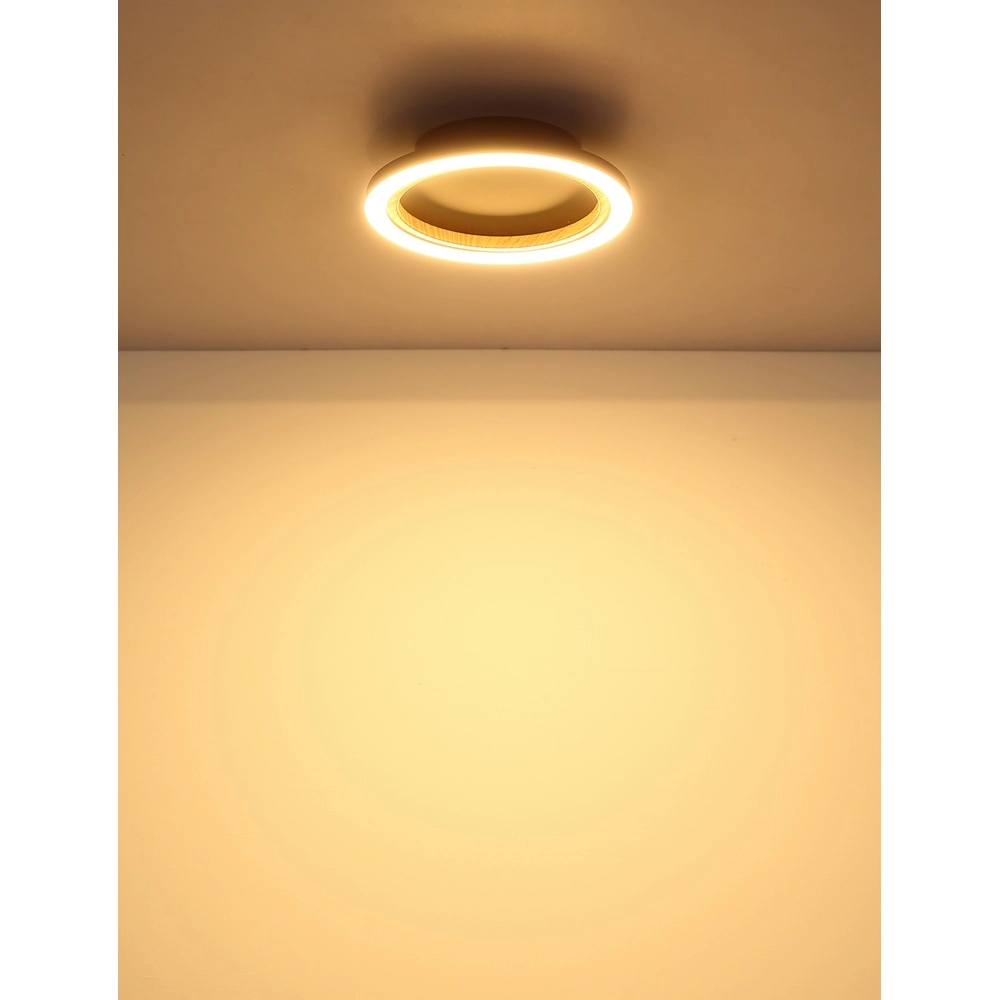 Deckenlampe Dakari I Schwarzer Einzelring Globo 9007371531783