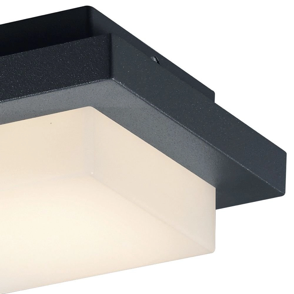 LED Veranda Licht Hondo 14cm Anthrazit Trio 4017807259131