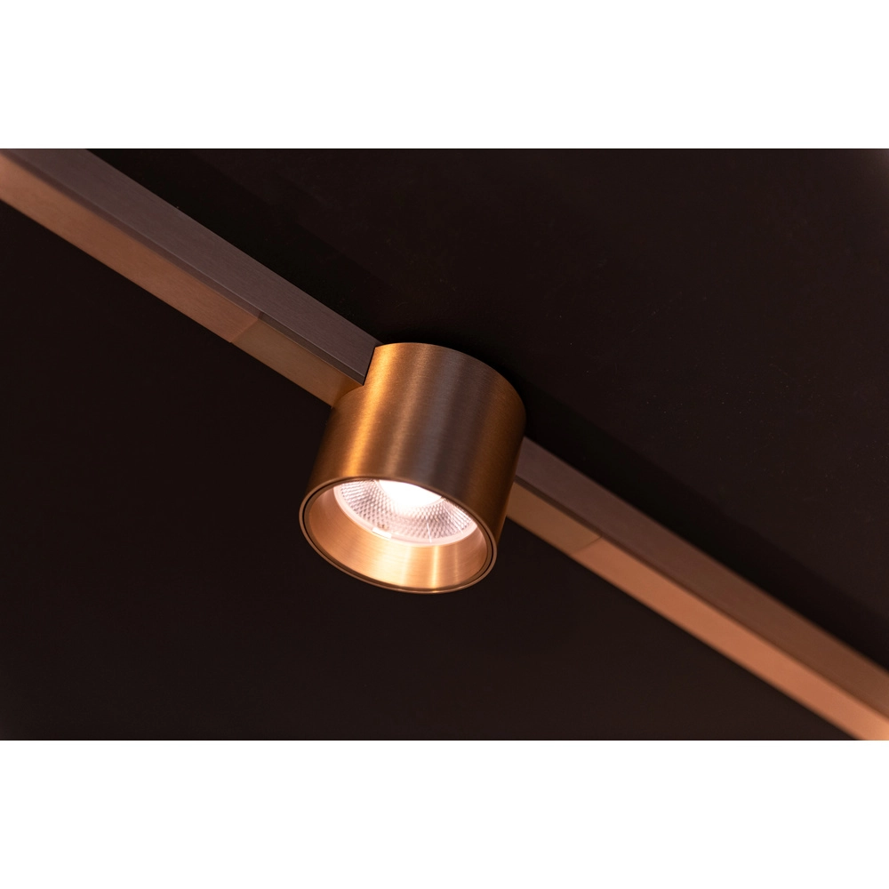 Einphasen-Gleis-Spot Linial Lux Champagner Premium by Lucide 5411212552310