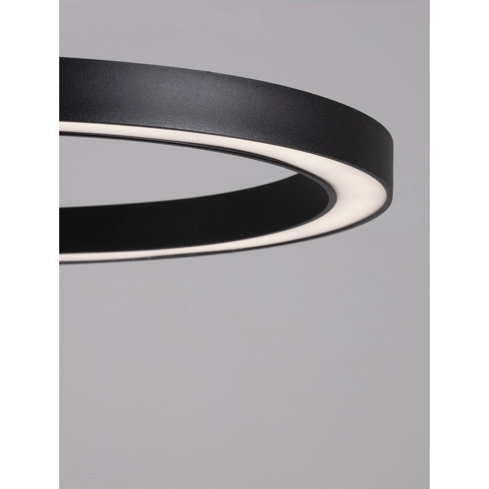 Ovale Pendelleuchte Cuppe schwarz Lyora 5212017438492