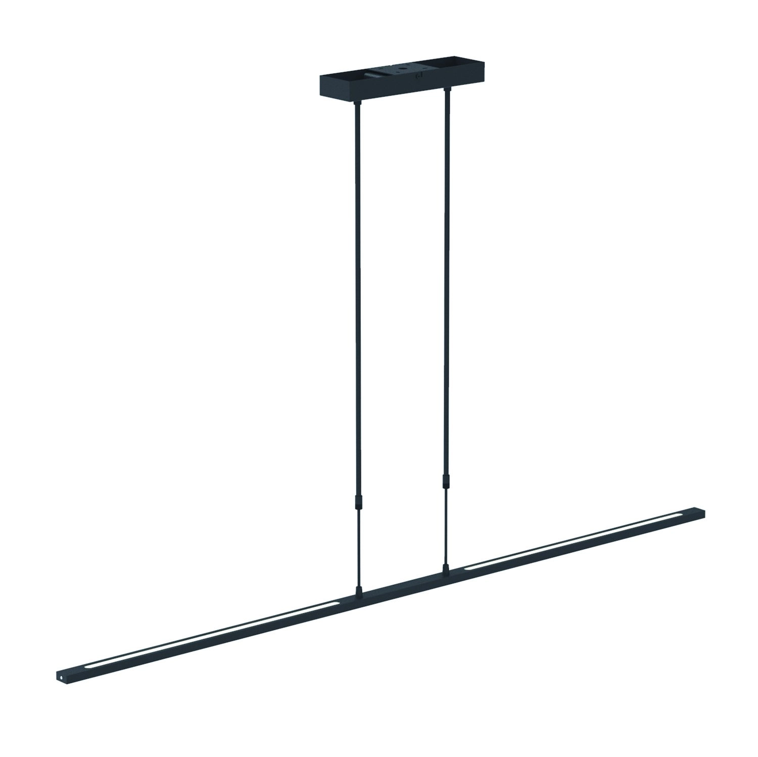 LED Hängelampe Zelena schwarz
