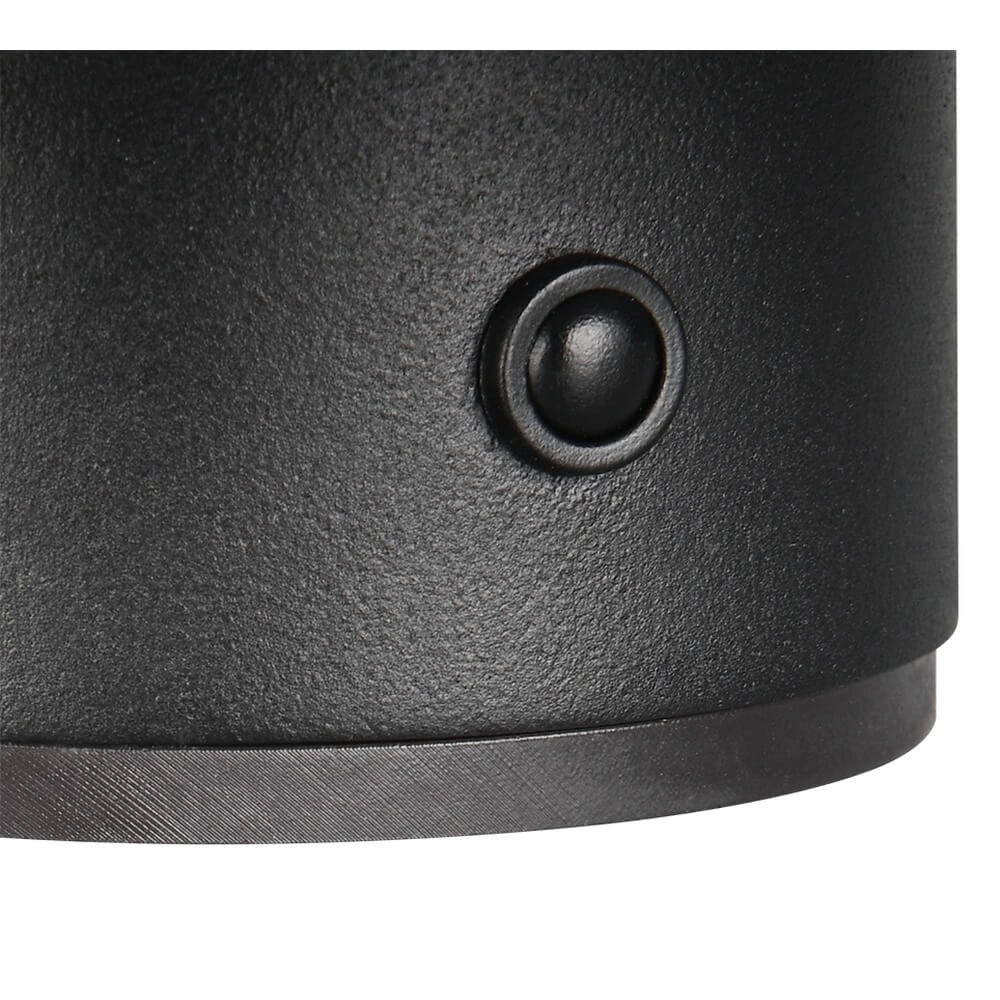 Schwarze Wandleuchte Davey Ø 15cm Trio 4017807643794