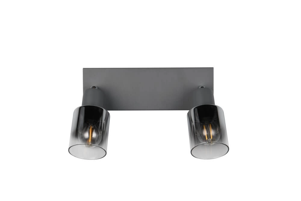 2-flammige Deckenleuchte Cadiz Schwarz Trio 4017807615760