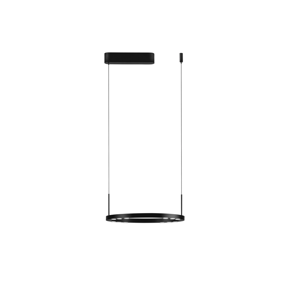 Schlanke Pendelleuchte Lunette schwarz Ø 40cm Lyora 5212017465184