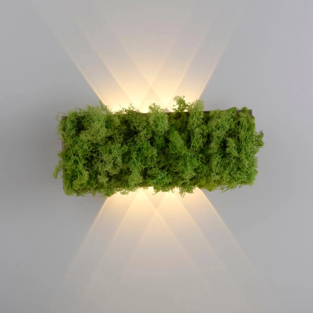 Rechteckige Deckenleuchte Green Carlo mit Moos Just Light 4043689994853