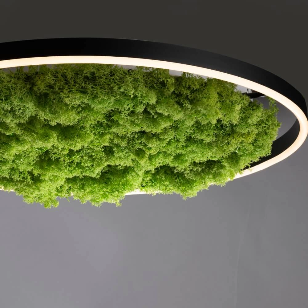 Deckenleuchte Green Ritus mit Moos Ø 58,5cm Just Light 4043689994808