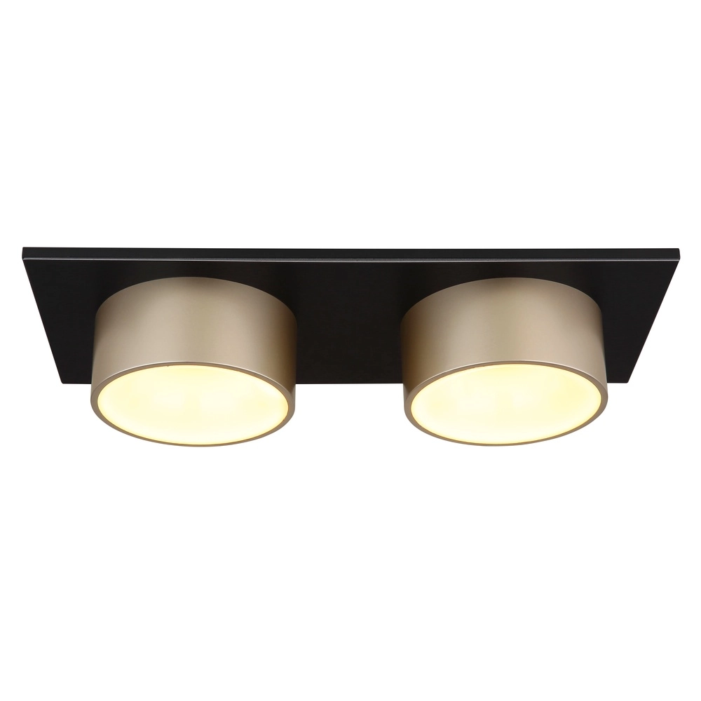 2-Licht Deckenlampe Raymond schwarz mit Champagner Globo 9007371522873