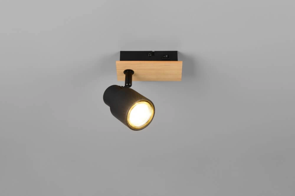 Design-Wandleuchte Pierre schwarz mit Holz Trio 4017807638158
