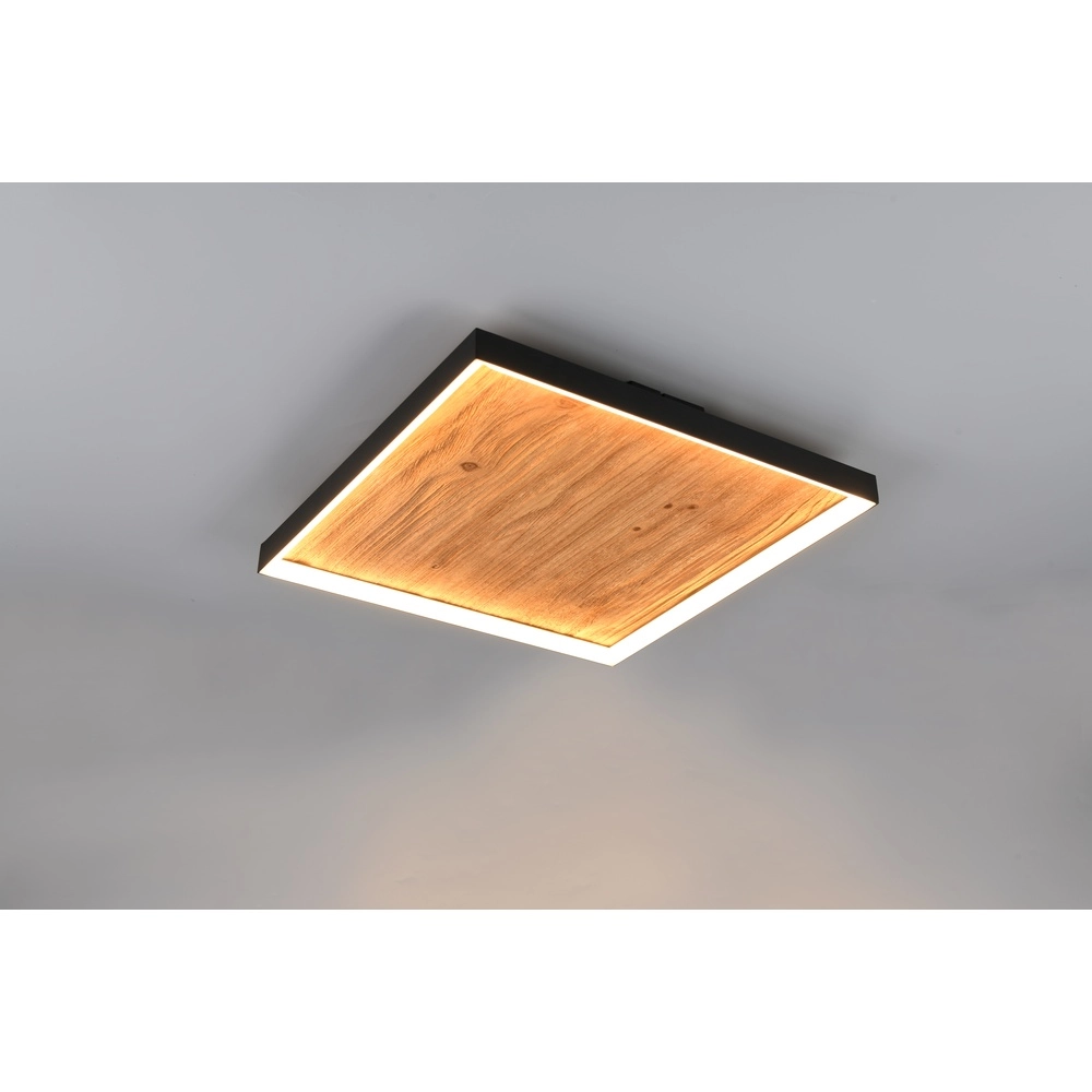 Design-Deckenleuchte Kalea schwarz mit Holz Trio 4017807661507
