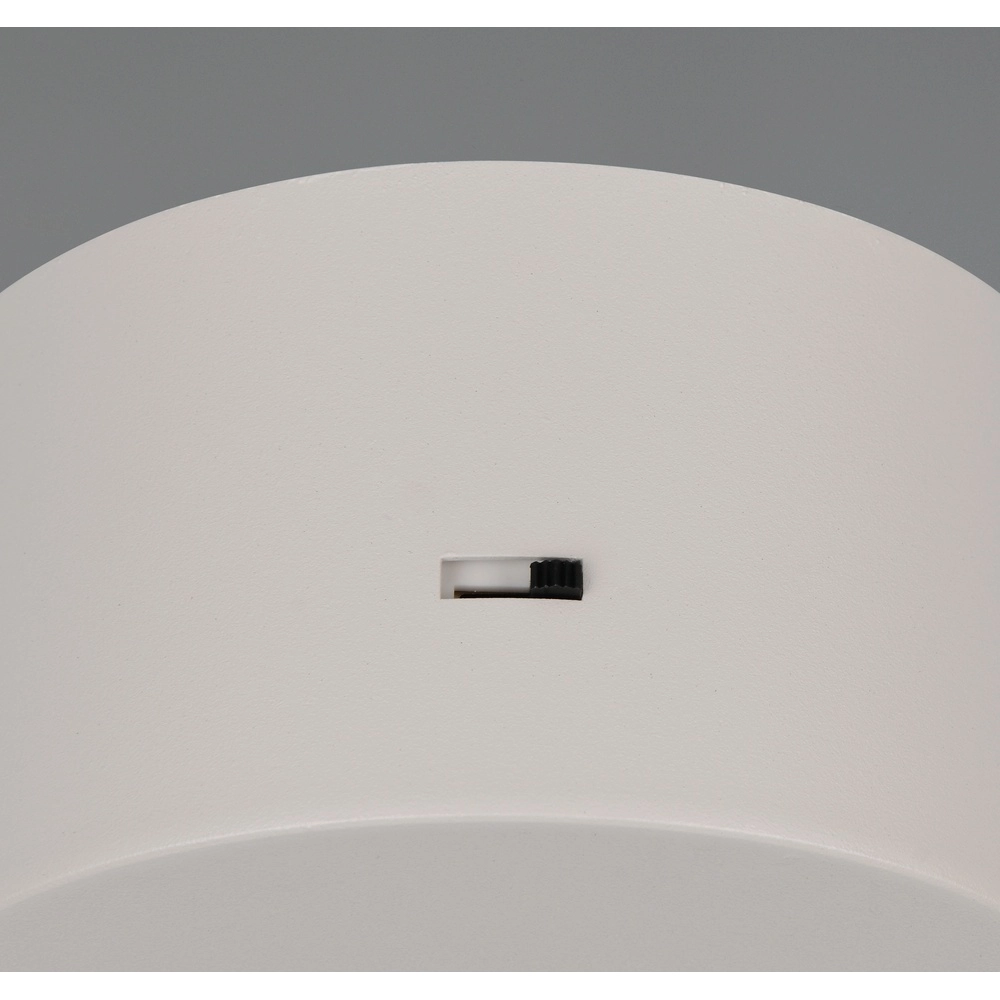 Moderne Pendelleuchte Laguna Ø 18cm kaffeebraun Trio 4017807671070