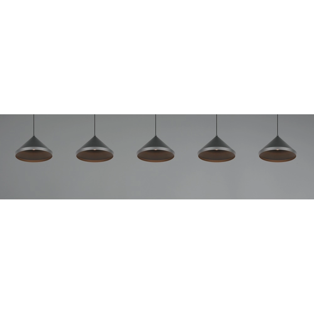 5-flammige Pendelleuchte Laguna schwarz Trio 4017807667684
