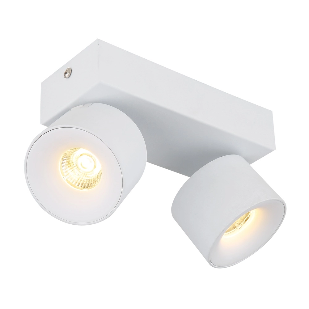 Elegante Deckenlampe Rae 2-Licht weiß
