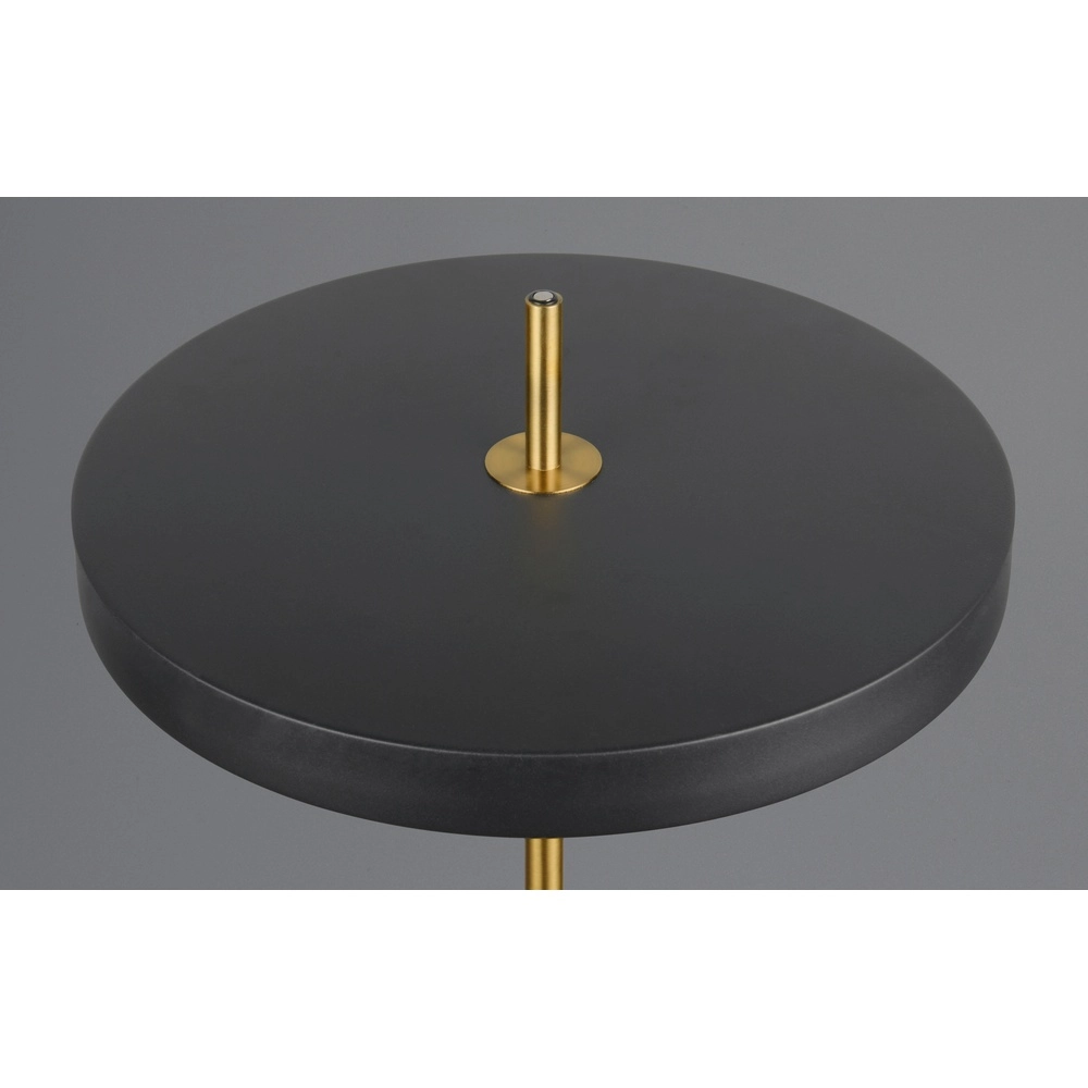 Moderne Stehleuchte Keaton schwarz mit gold Trio 4017807655926
