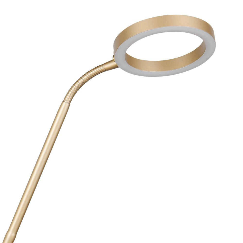 Design-Leselampe Willis Gold – 180 cm Trio 4017807627923