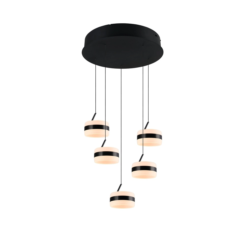 Design-Pendelleuchte Dios schwarz 5-flammig Trio 4017807657678