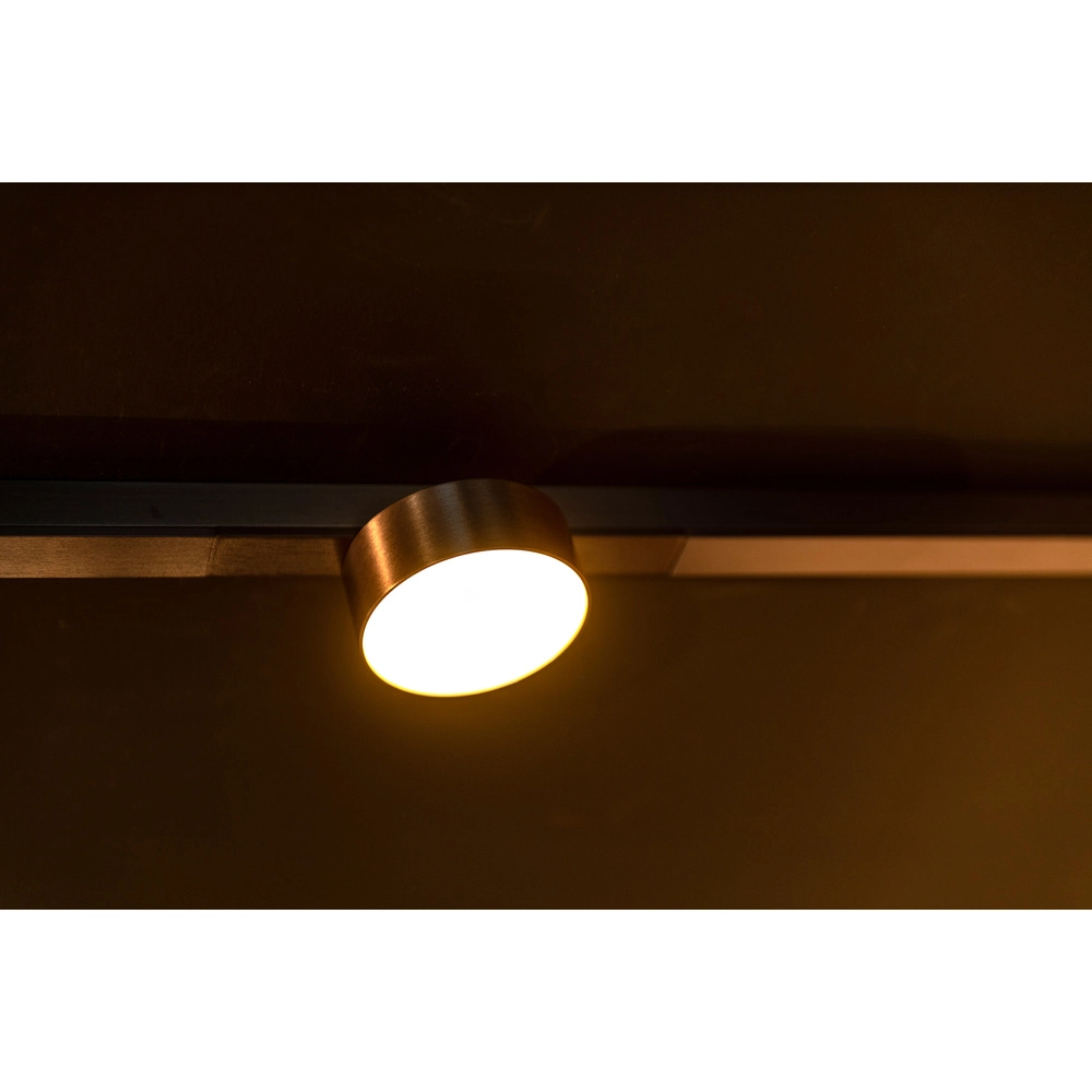Einphasen-Gleis-Spot Linial Fixt Champagner Premium by Lucide 5411212552297