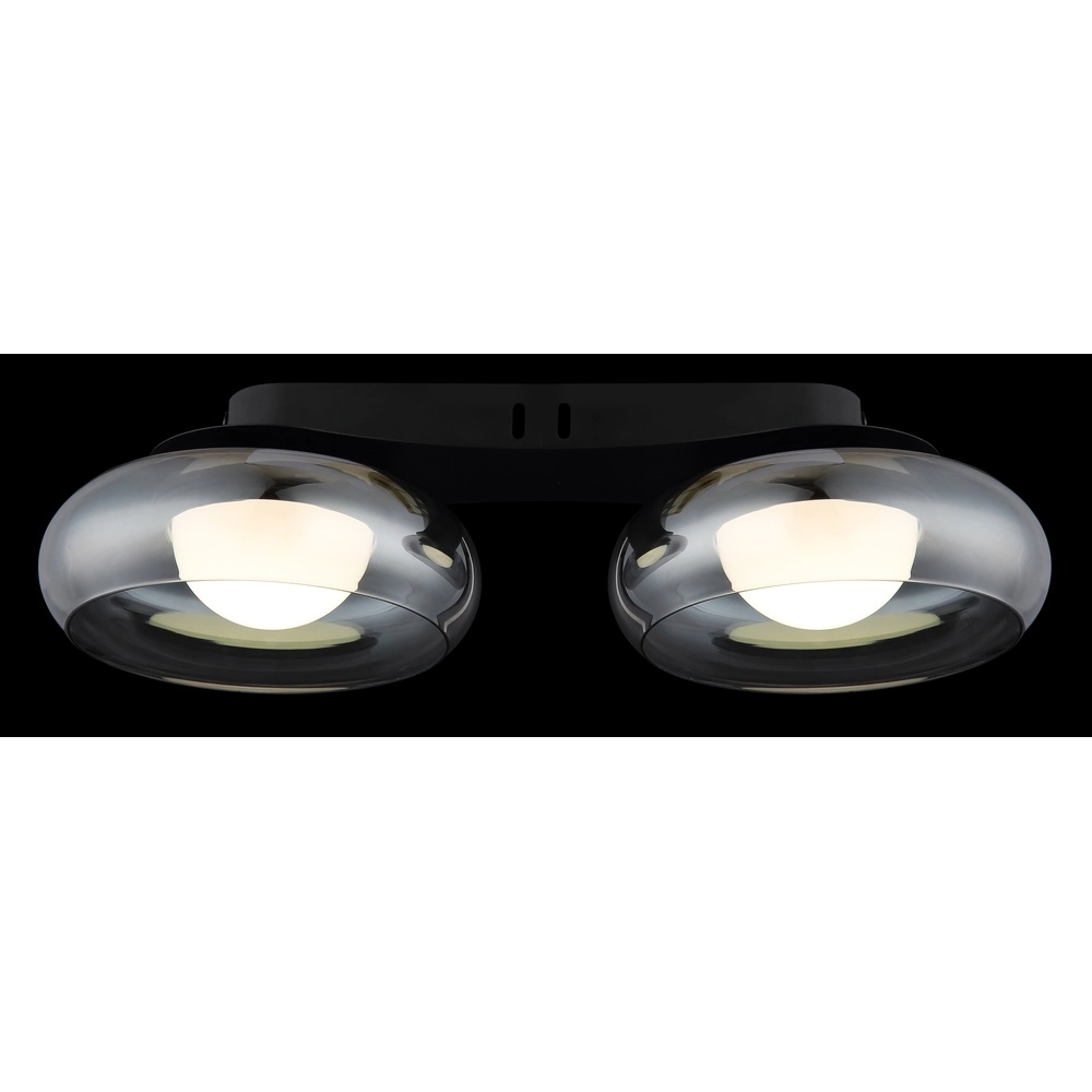 Design-Deckenlampe Carlene 2-Licht Schwarz Globo 9007371569175