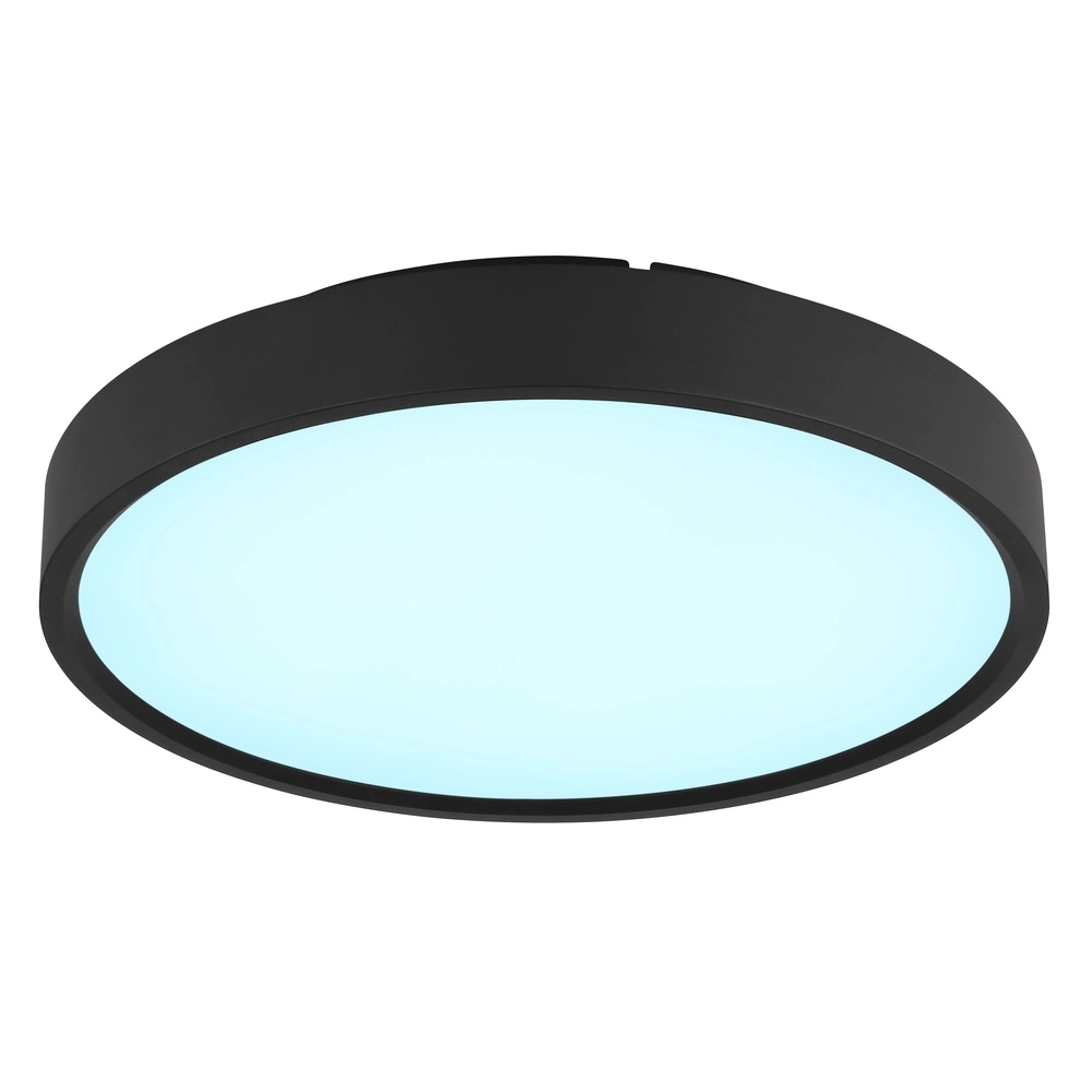 Deckenlicht Jess Schwarz Globo 9007371592470