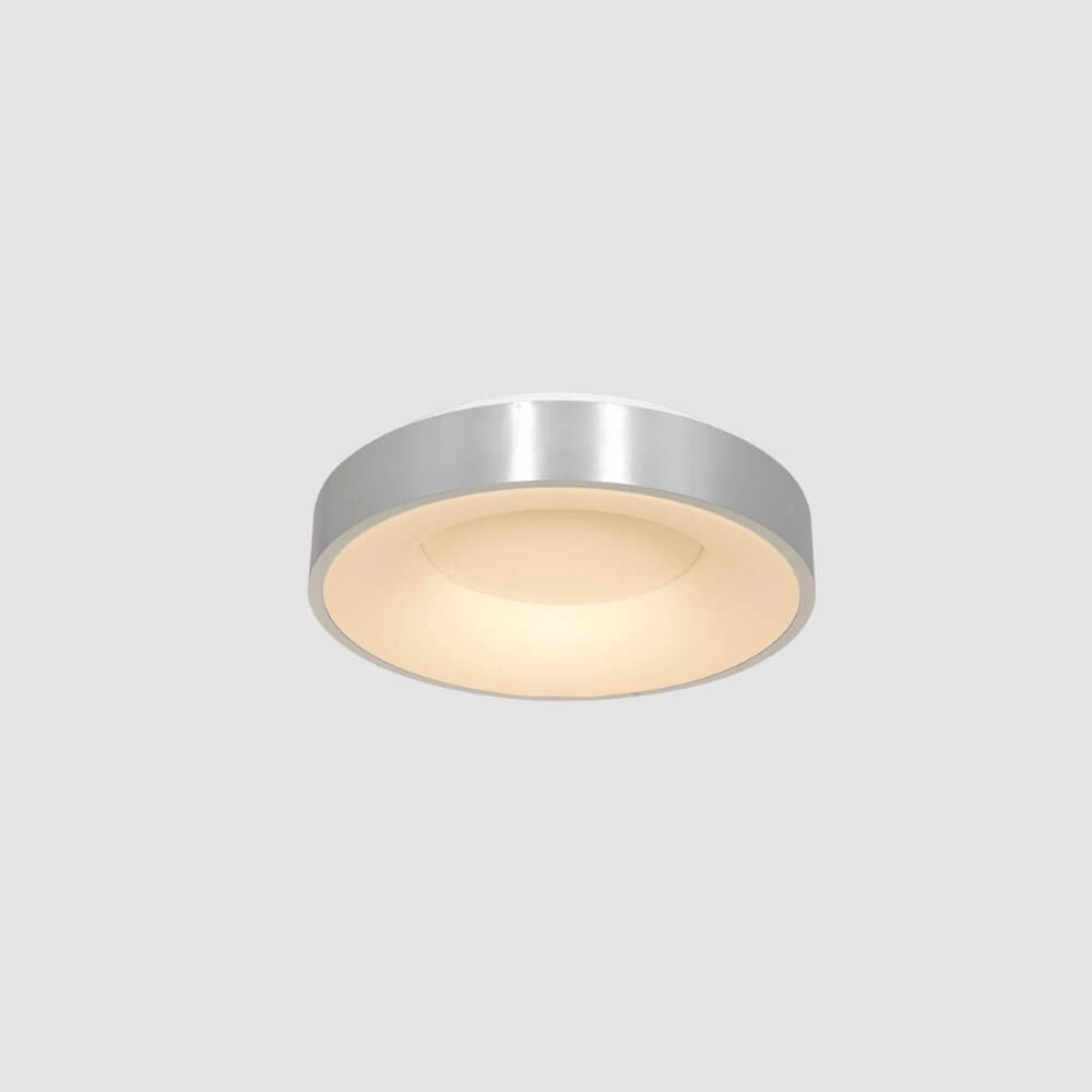 Ø 30cm Deckenleuchte Ringlede mit LED Steinhauer 8712746135794