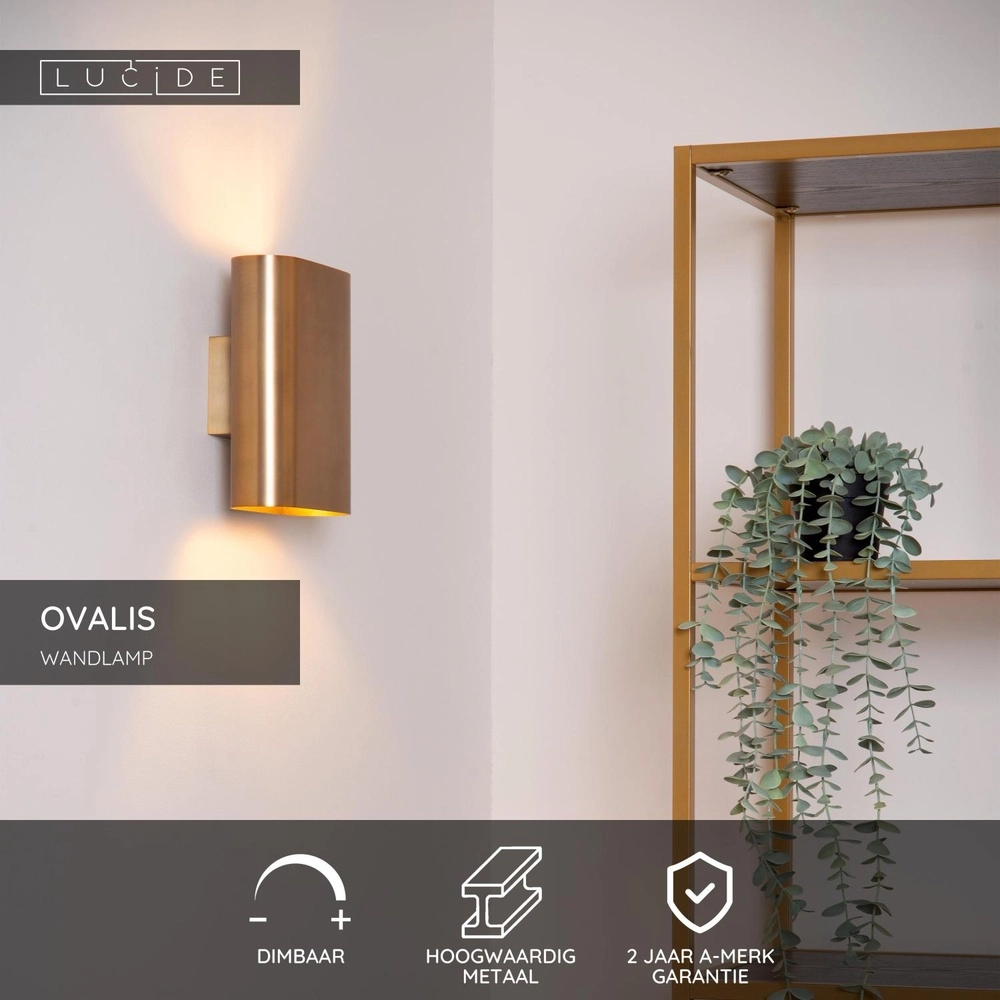 Design-Wandspot Ovalis Gold Lucide 5411212126955