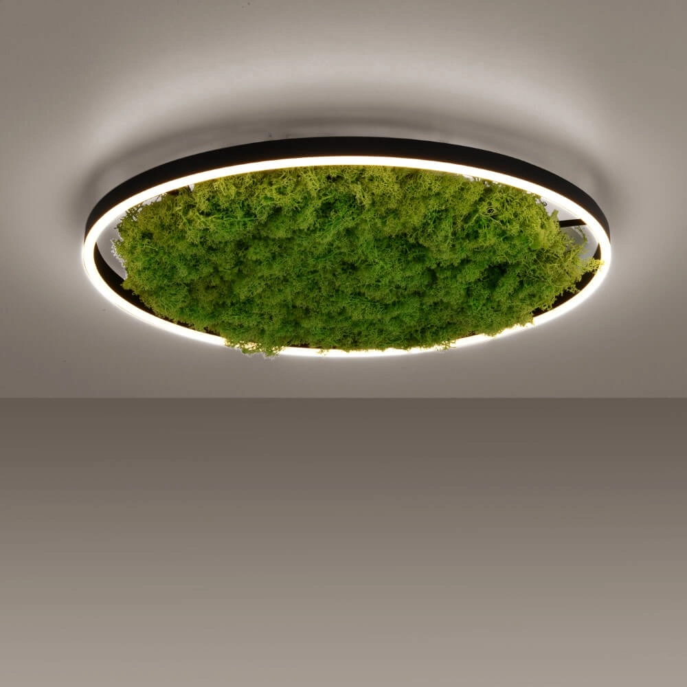Deckenleuchte Green Ritus mit Moos Ø 58,5cm Just Light 4043689994808