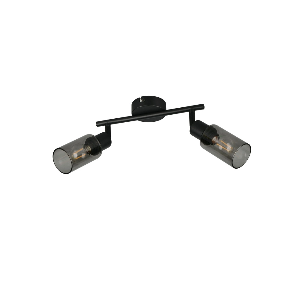 Design-Deckenlampe Mars 2-Licht Schwarz Trio 4017807670479