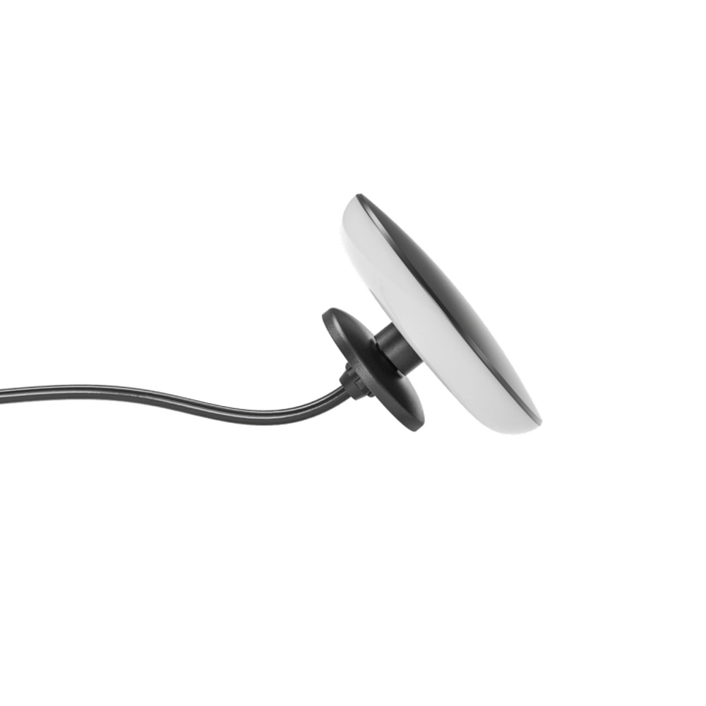 12-Volt-Wandlampe Sway Wall Schwarz In-lite 8717051004896