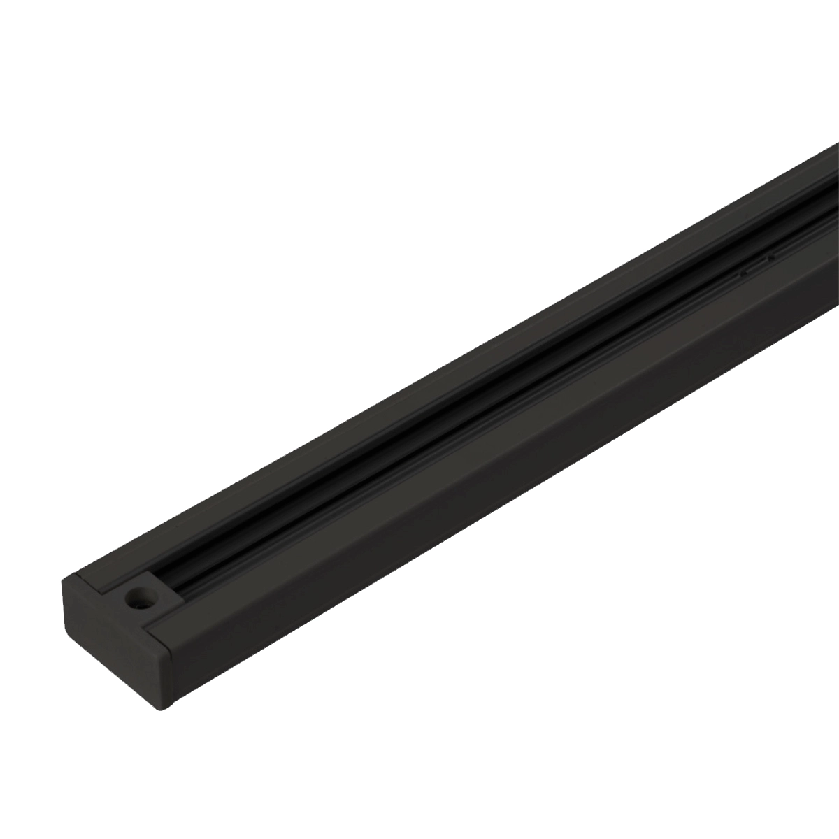 1 Meter Schiene TraQ Schwarz Lyora
