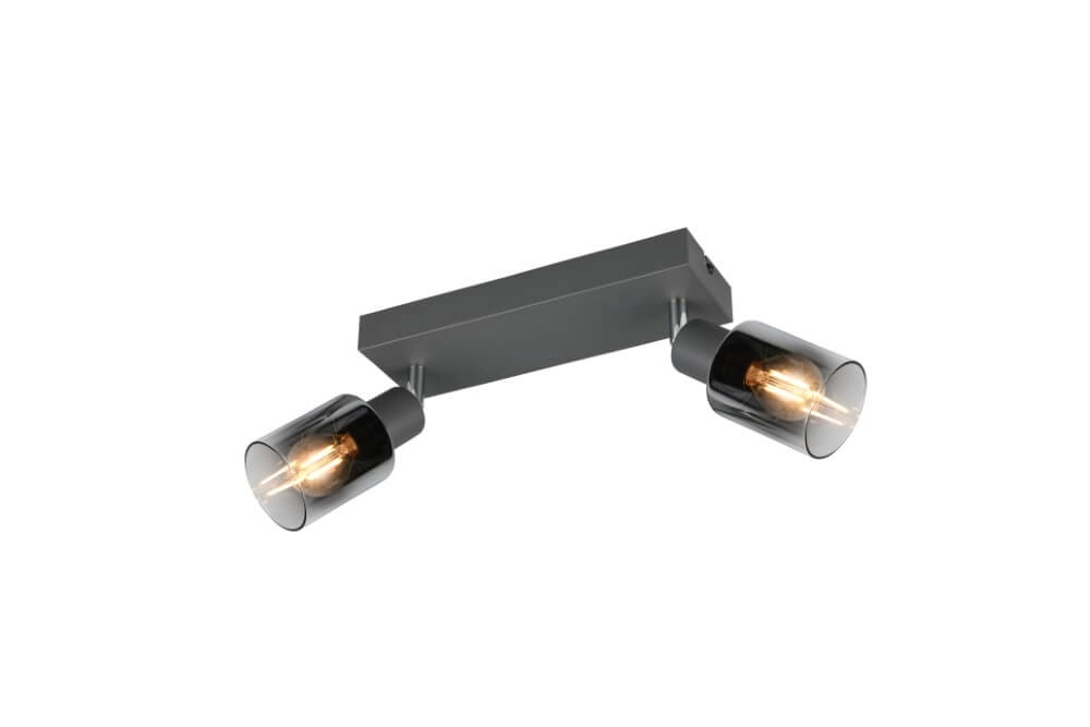 2-flammige Deckenleuchte Cadiz Schwarz Trio 4017807615760