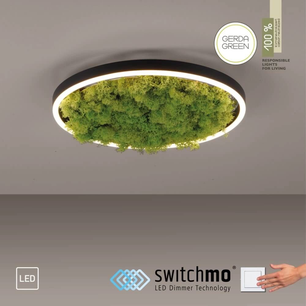 Deckenleuchte Green Ritus mit Moos Ø 39,3cm Just Light 4043689994792