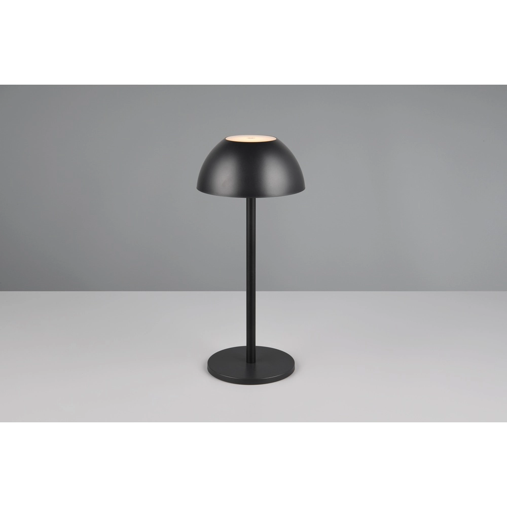 Tischlampe Ricardo schwarz Ø 13,5cm Trio 4017807601794