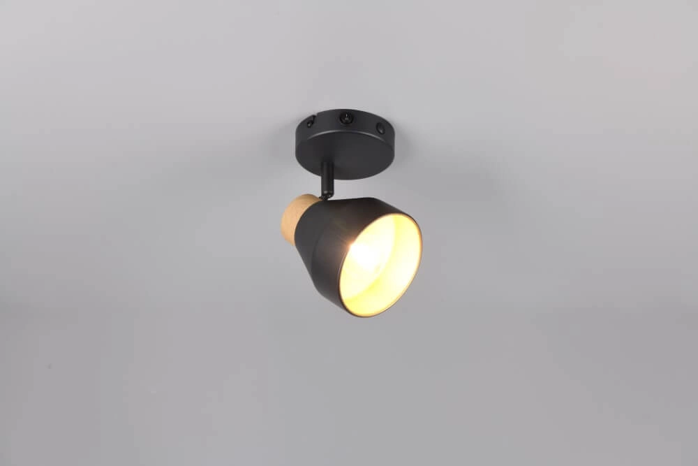 Design-Wandleuchte Valentin schwarz Trio 4017807637397