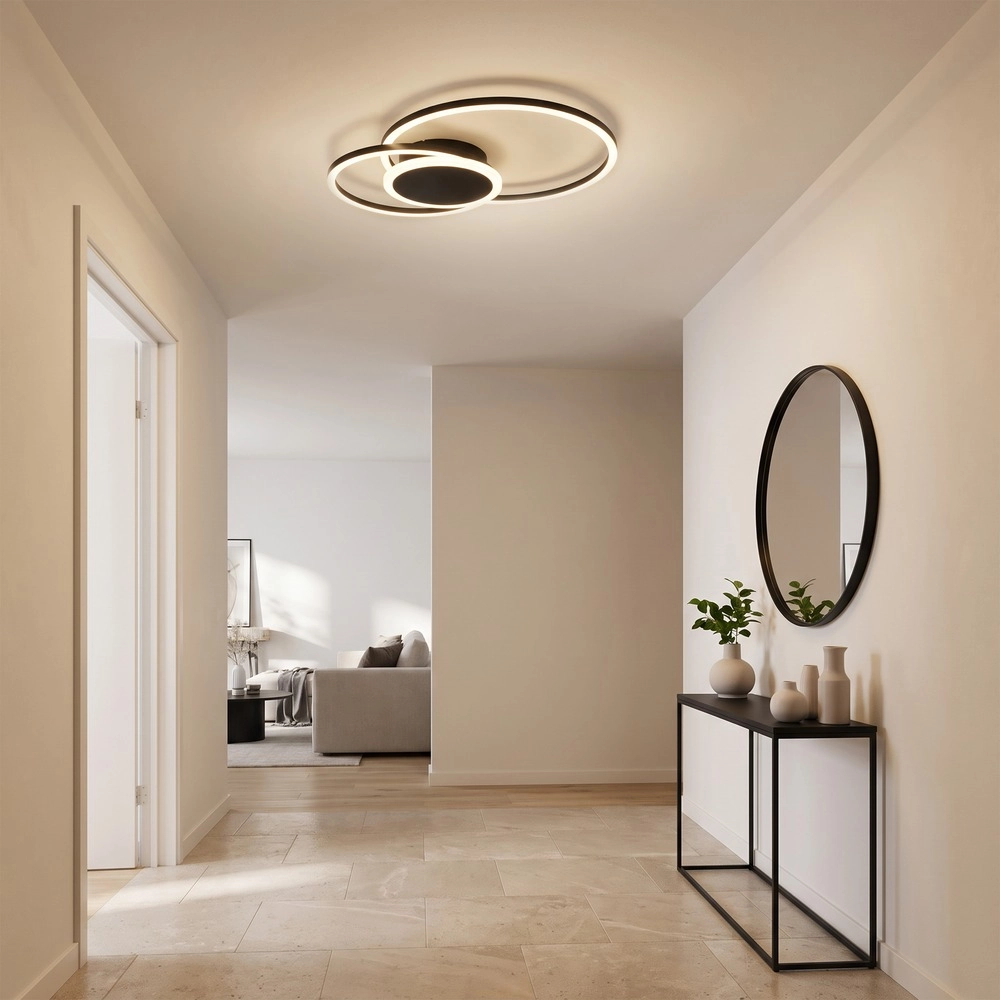 Design-Deckenlampe Amandolo 2 Schwarz Eglo 9008606391493