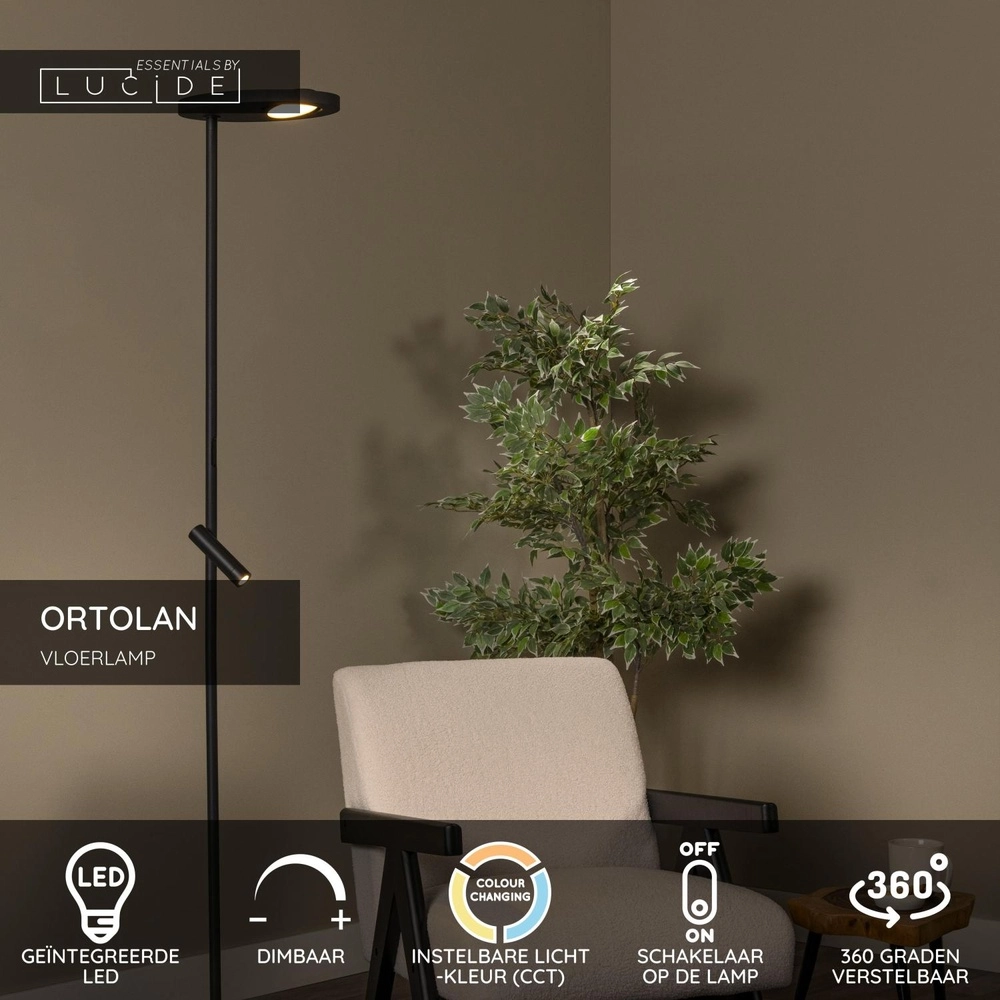 Leselampe Ortolan Schwarz Lucide 5411212032249