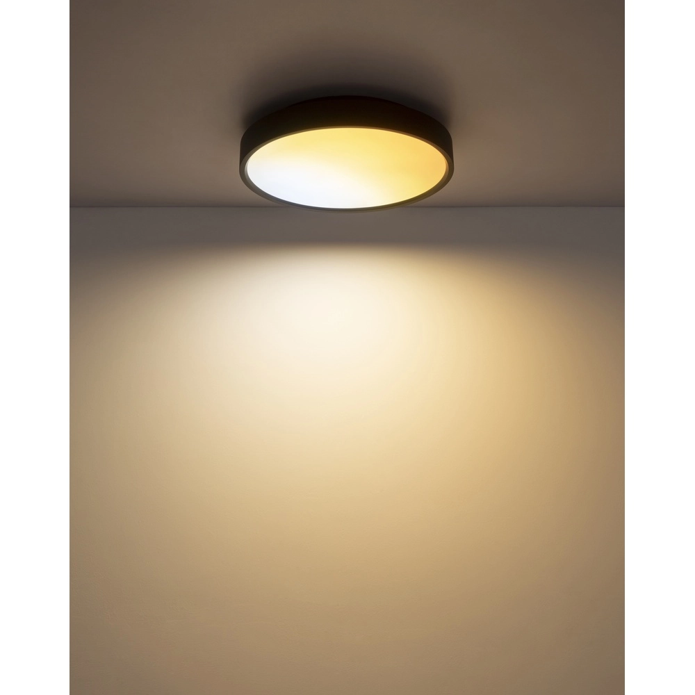 Deckenlicht Jess Schwarz Globo 9007371592470