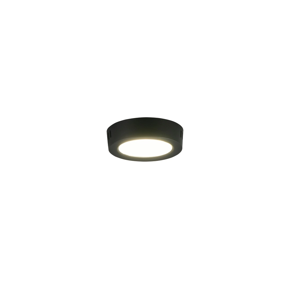 Deckenlampe Laru Ø 12 cm schwarz Trio 4017807711509