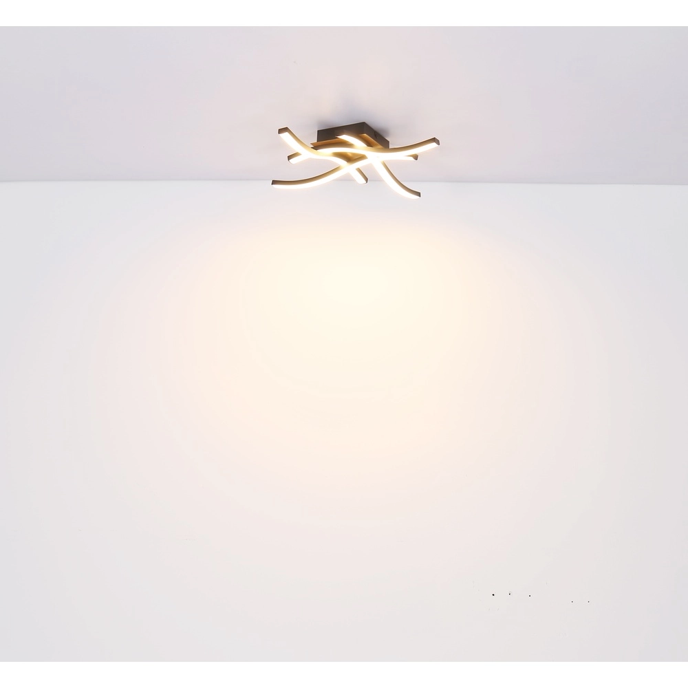 Deckenlampe Evita Schwarz mit Holz Globo 9007371419173