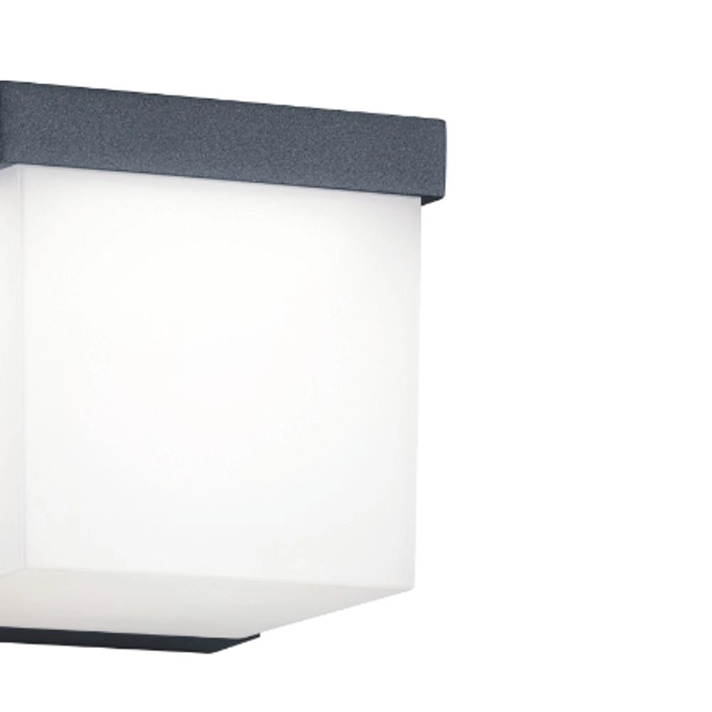 LED-Außenleuchte Yangtze Anthrazit Trio 4017807279535