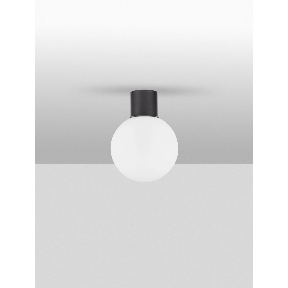 Deckenlampe Spix anthrazit mit weißem konvexem Glas Lyora 5212017476432