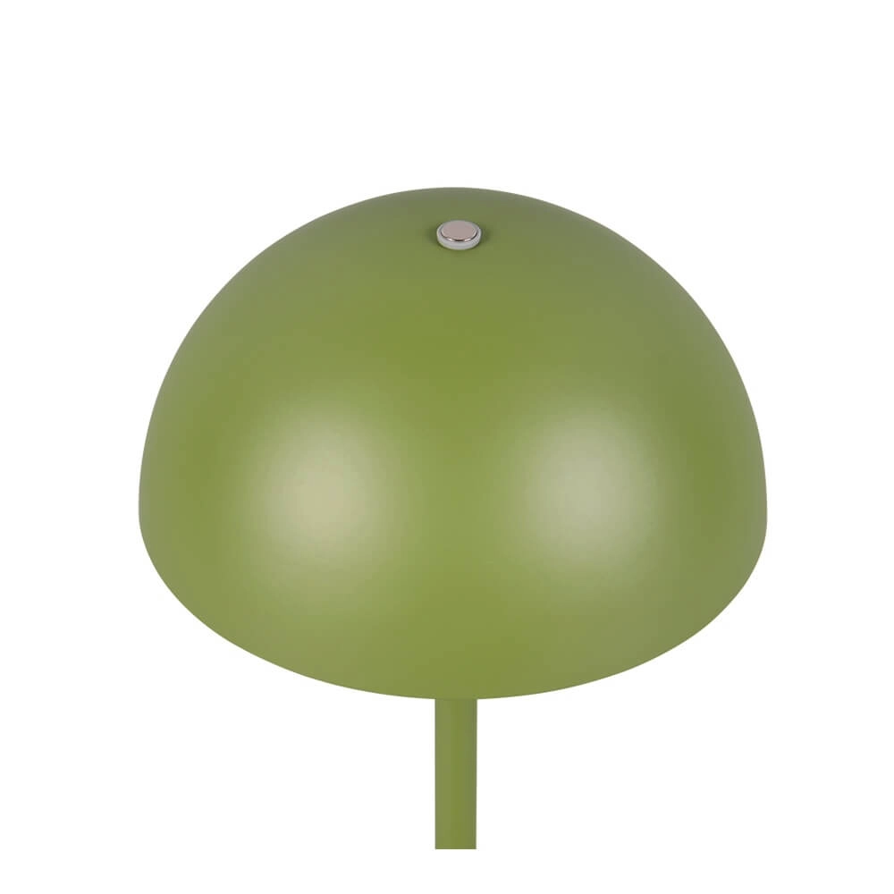 Tischlampe Munoz grün Ø 13cm Trio 4017807640861