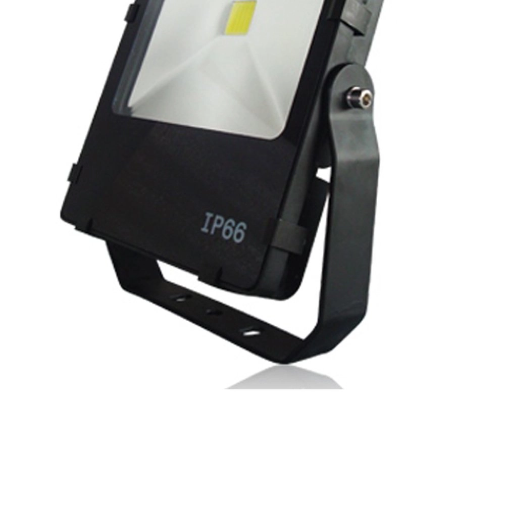 LED-Spot Floodlight Franssen 8717064119686