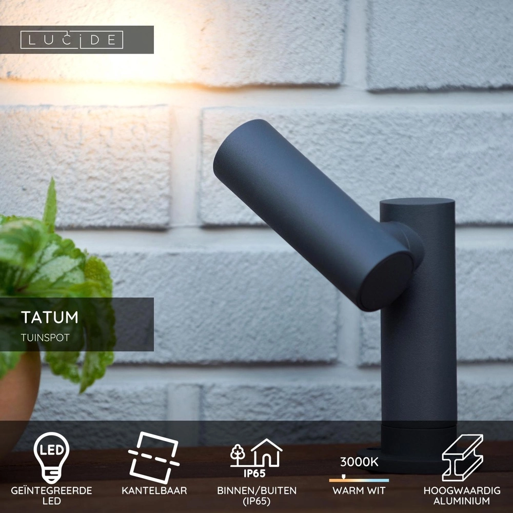 Gartenscheinwerfer Tatum Anthrazit Lucide 5411212271655