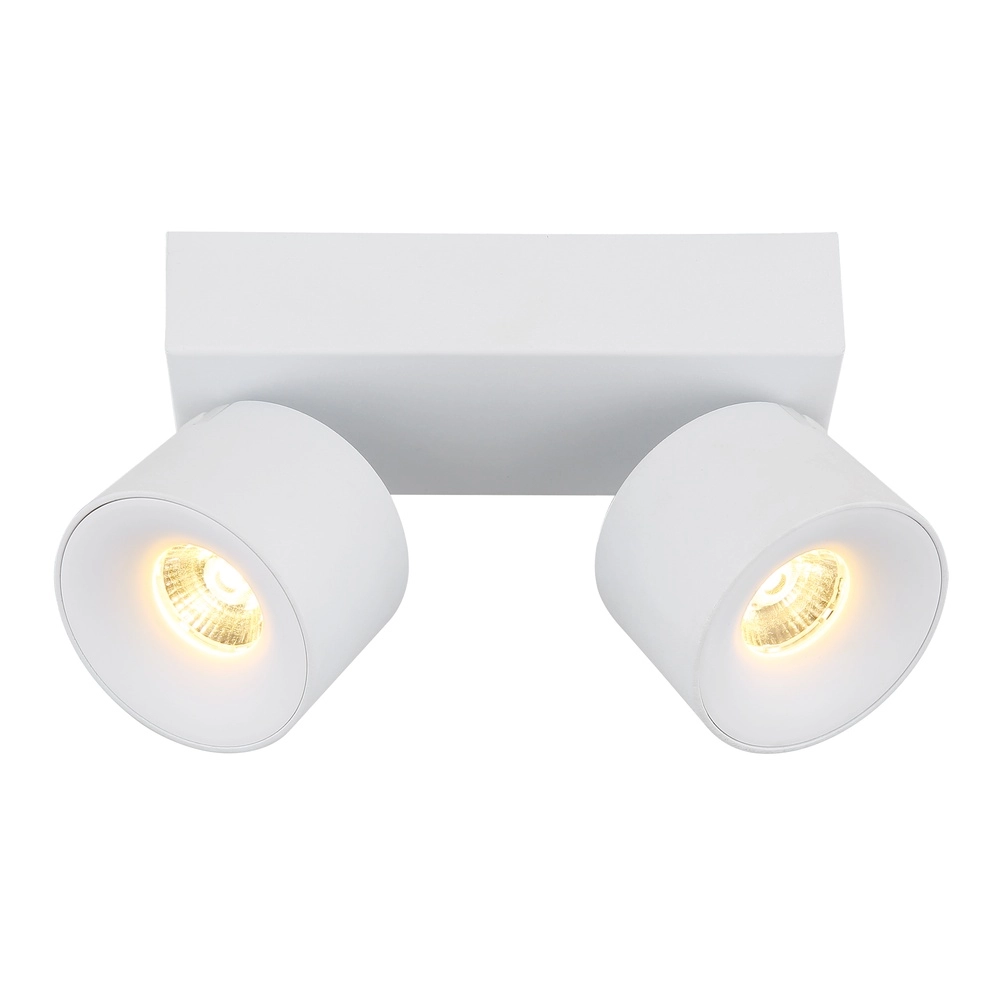 Elegante Deckenlampe Rae 2-Licht weiß Globo 9007371450640