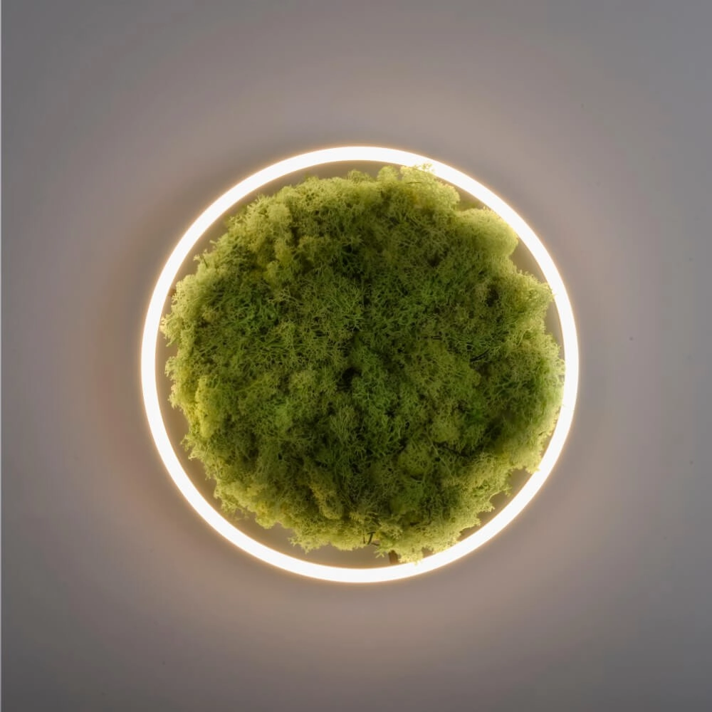 Deckenleuchte Green Ritus mit Moos Ø 39,3cm Just Light 4043689994792