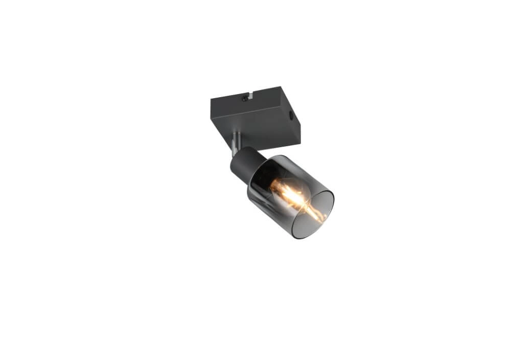 Schwarze Wandlampe Cadiz mit Rauchglas Trio 4017807615753