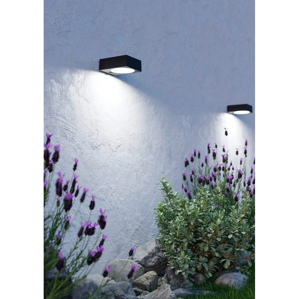 Design-Wandleuchte Darfano schwarz Eglo 9008606355013