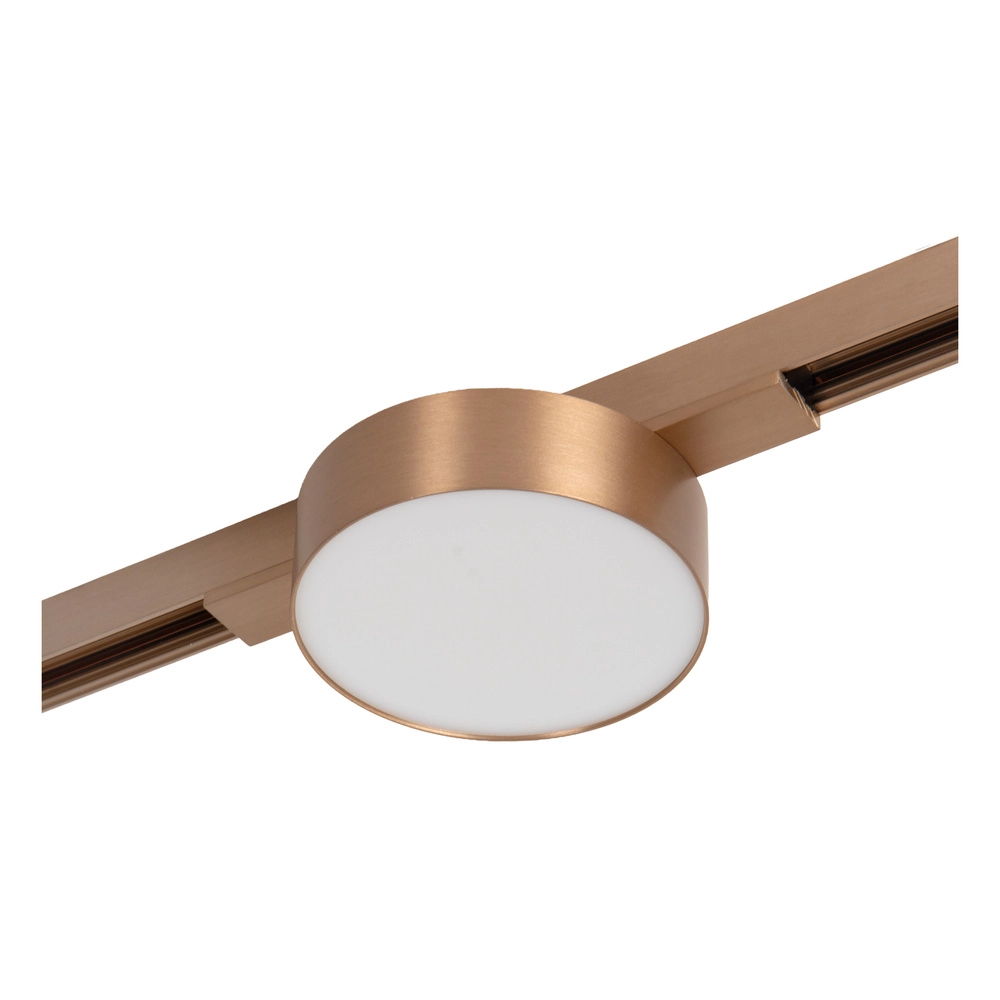 Einphasen-Gleis-Spot Linial Fixxt Champagner Premium by Lucide 5411212552402