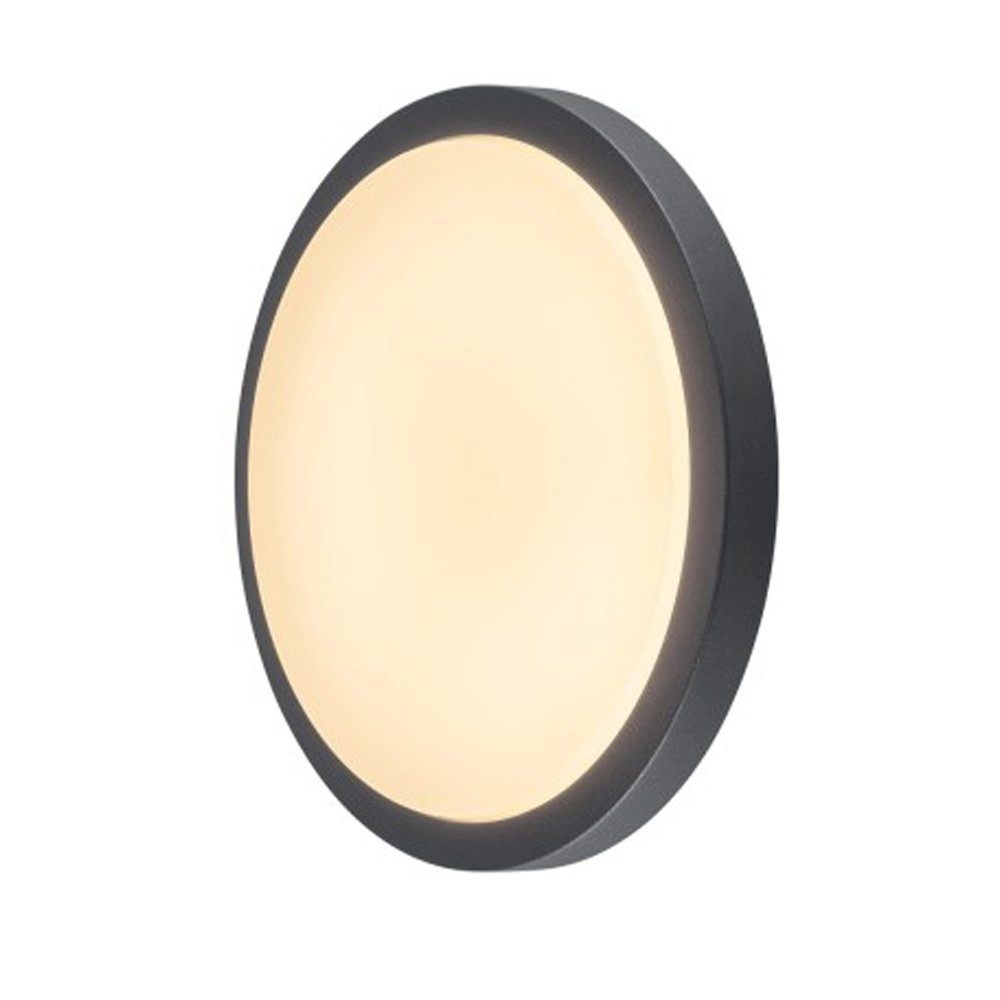 LED-Außenleuchte Ainos Mit Bewegungssensor Anthrazit SLV 4024163167215
