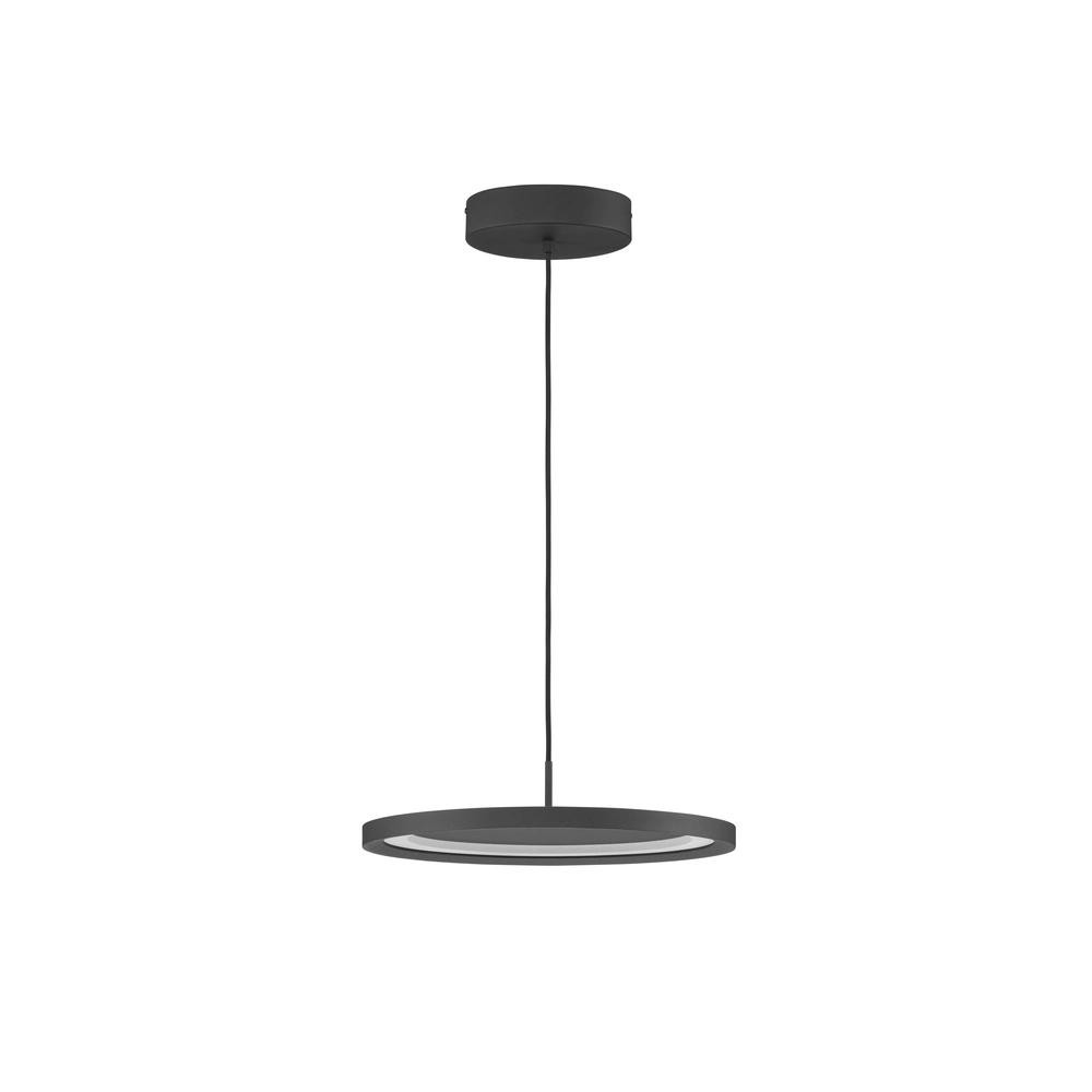 Schlanke Pendelleuchte Andria schwarz Ø 40cm Lyora 5212017432001